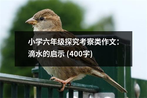 小學(xué)六年級探究考察類作文：滴水的啟示 (400字)
