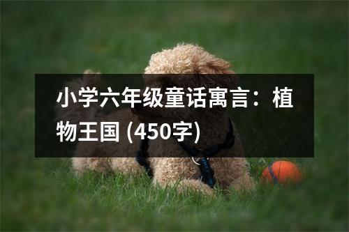 小學六年級童話寓言：植物王國 (450字)