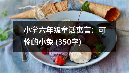 小學(xué)六年級童話寓言：可憐的小兔 (350字)