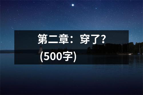 第二章：穿了？ (500字)