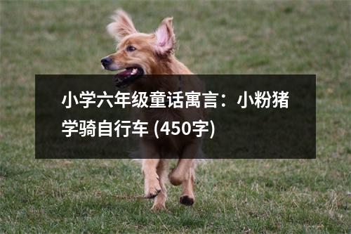 小學(xué)六年級(jí)童話(huà)寓言：小粉豬學(xué)騎自行車(chē) (450字)