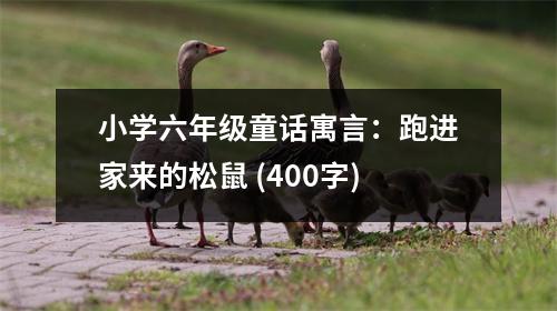 小學六年級童話寓言：跑進家來的松鼠 (400字)
