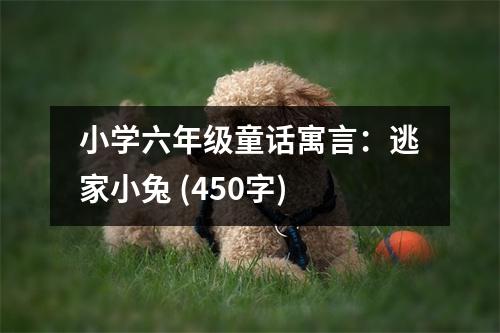 小學(xué)六年級(jí)童話寓言：逃家小兔 (450字)