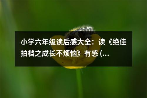 小學(xué)六年級(jí)讀后感大全：讀《絕佳拍檔之成長不煩惱》有感 (450字)