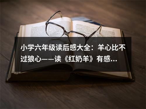 小學(xué)六年級讀后感大全：羊心比不過狼心——讀《紅奶羊》有感 (350字)