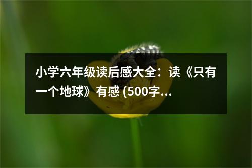 小學(xué)六年級(jí)讀后感大全：讀《只有一個(gè)地球》有感 (500字)