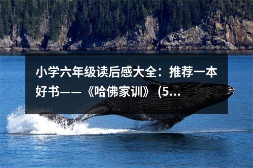 小學六年級讀后感大全：推薦一本好書——《哈佛家訓》 (500字)