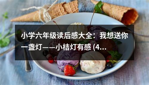 小學六年級讀后感大全：我想送你一盞燈——小桔燈有感 (400字)
