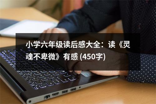 小學(xué)六年級(jí)讀后感大全：讀《靈魂不卑微》有感 (450字)