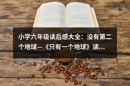 小學六年級讀后感大全：沒有第二個地球—《只有一個地球》讀后感 (450字)