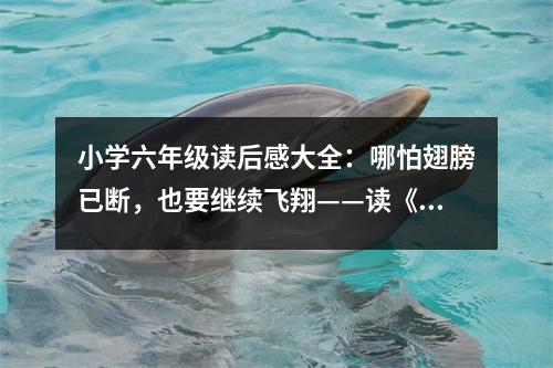 小學(xué)六年級(jí)讀后感大全：哪怕翅膀已斷，也要繼續(xù)飛翔——讀《蜜蜂》有感 (500字)