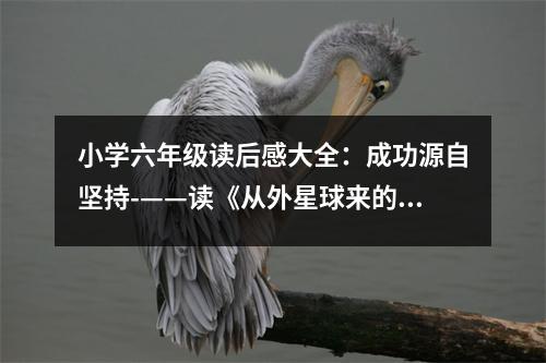 小學(xué)六年級讀后感大全：成功源自堅持-——讀《從外星球來的孩子》 (400字)