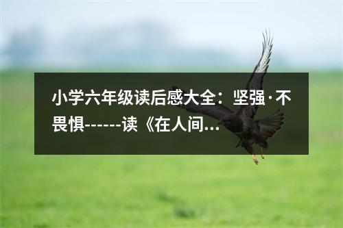小學(xué)六年級(jí)讀后感大全：堅(jiān)強(qiáng)·不畏懼------讀《在人間》有感 (450字)