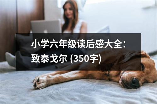 小學(xué)六年級(jí)讀后感大全：致泰戈?duì)?(350字)