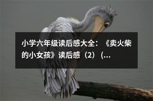 小學(xué)六年級讀后感大全：《賣火柴的小女孩》讀后感（2） (350字)
