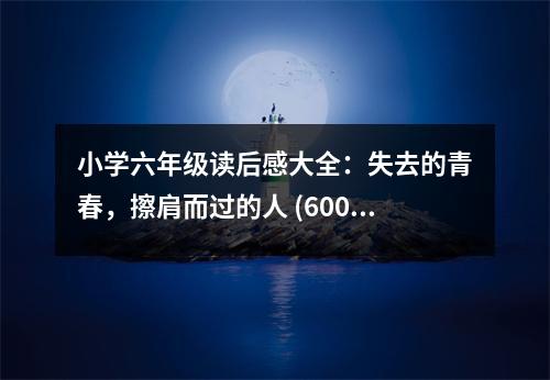 小學(xué)六年級(jí)讀后感大全：失去的青春，擦肩而過(guò)的人 (600字)