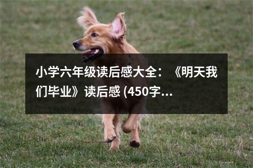 小學六年級讀后感大全：《明天我們畢業(yè)》讀后感 (450字)