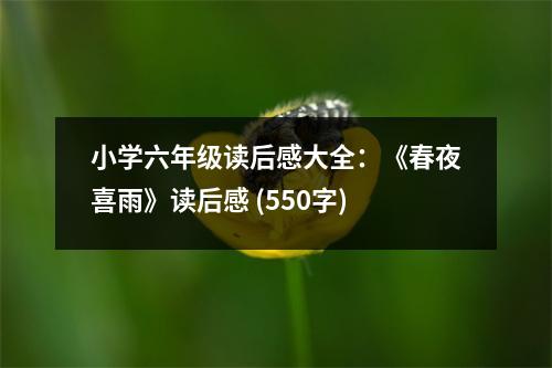 小學(xué)六年級讀后感大全：《春夜喜雨》讀后感 (550字)