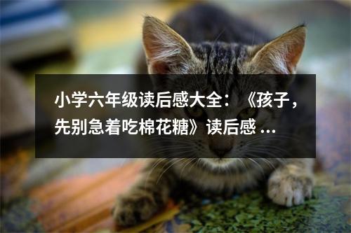 小學(xué)六年級(jí)讀后感大全：《孩子，先別急著吃棉花糖》讀后感 (450字)
