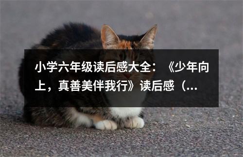 小學(xué)六年級讀后感大全：《少年向上，真善美伴我行》讀后感（2） (450字)