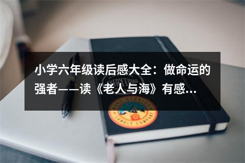小學六年級讀后感大全：做命運的強者——讀《老人與海》有感 (400字)