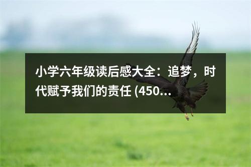 小學六年級讀后感大全：追夢，時代賦予我們的責任 (450字)