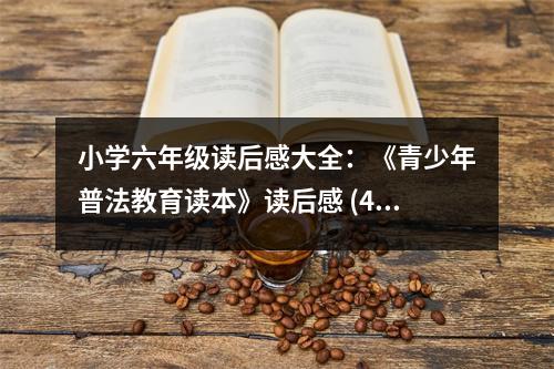 小學六年級讀后感大全：《青少年普法教育讀本》讀后感 (450字)