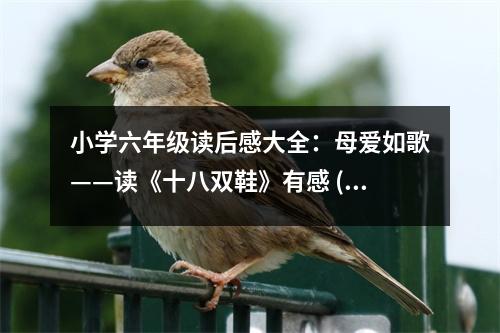 小學(xué)六年級(jí)讀后感大全：母愛如歌——讀《十八雙鞋》有感 (450字)