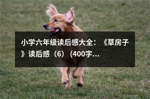 小學(xué)六年級讀后感大全：《草房子》讀后感（6） (400字)