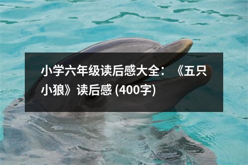小學(xué)六年級(jí)讀后感大全：《五只小狼》讀后感 (400字)