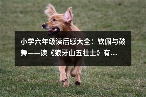 小學六年級讀后感大全：欽佩與鼓舞——讀《狼牙山五壯士》有感 (400字)