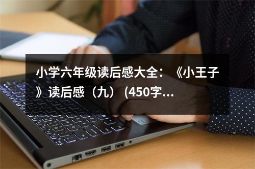 小學(xué)六年級讀后感大全：《小王子》讀后感（九） (450字)
