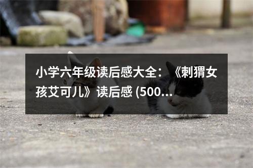 小學(xué)六年級讀后感大全：《刺猬女孩艾可兒》讀后感 (500字)