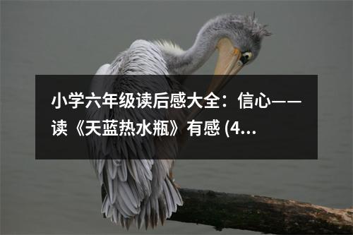 小學六年級讀后感大全：信心——讀《天藍熱水瓶》有感 (450字)