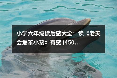 小學(xué)六年級(jí)讀后感大全：讀《老天會(huì)愛笨小孩》有感 (450字)