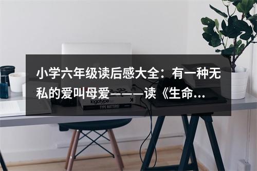 小學(xué)六年級(jí)讀后感大全：有一種無私的愛叫母愛———讀《生命流淚的樣子》有感 (450字)