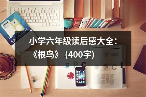小學(xué)六年級讀后感大全：《根鳥》 (400字)