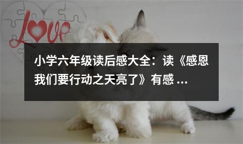 小學六年級讀后感大全：讀《感恩我們要行動之天亮了》有感 (400字)