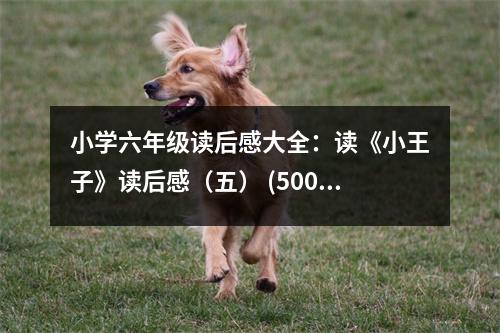 小學(xué)六年級讀后感大全：讀《小王子》讀后感（五） (500字)
