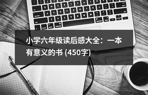 小學六年級讀后感大全：一本有意義的書 (450字)