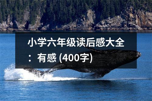 小學六年級讀后感大全：有感 (400字)