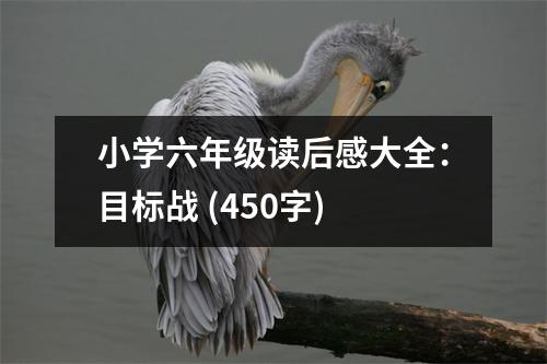 小學(xué)六年級讀后感大全：目標(biāo)戰(zhàn) (450字)