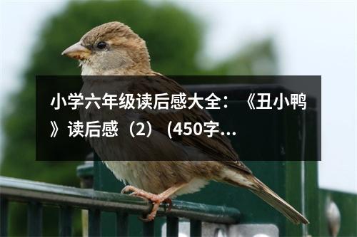 小學(xué)六年級讀后感大全：《丑小鴨》讀后感（2） (450字)