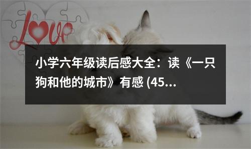 小學(xué)六年級讀后感大全：讀《一只狗和他的城市》有感 (450字)