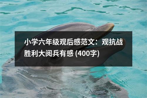 小學(xué)六年級(jí)觀后感范文：觀抗戰(zhàn)勝利大閱兵有感 (400字)