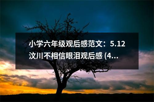 小學(xué)六年級(jí)觀后感范文：5.12汶川不相信眼淚觀后感 (450字)
