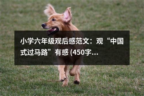 小學(xué)六年級(jí)觀后感范文：觀“中國式過馬路”有感 (450字)
