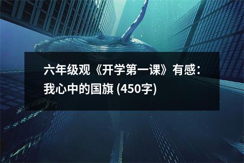 六年級觀《開學第一課》有感：我心中的國旗 (450字)