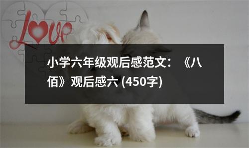 小學六年級觀后感范文：《八佰》觀后感六 (450字)