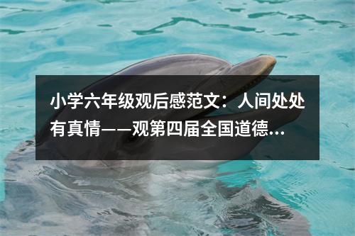 小學(xué)六年級觀后感范文：人間處處有真情——觀第四屆全國道德模范有感 (350字)